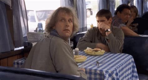 Dumb And Dumber GIFs .